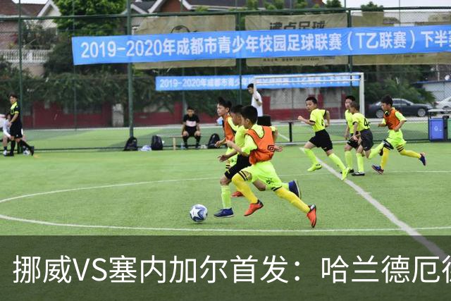 挪威VS塞内加尔首发：哈兰德厄德高领军 马内搭杰克逊